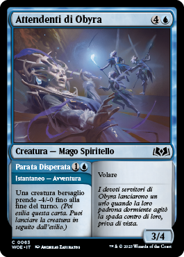 Terre selvagge di Eldraine 63