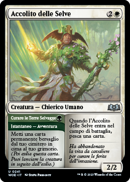 Terre selvagge di Eldraine 241