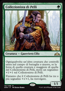 Collezionista di Pelli  Gilde di Ravnica 141-Wizard of The Coast- nuvolosofumetti.