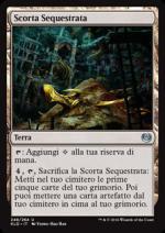 Scorta Sequestrata  kaladesh 248-Wizard of the Coast- nuvolosofumetti.