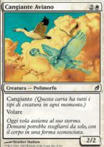 Cangiante Aviano   Lorwyn 4-Wizard of the Coast- nuvolosofumetti.