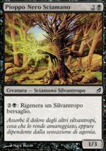 Pioppo Nero Sciamano   Lorwyn 99-Wizard of the Coast- nuvolosofumetti.