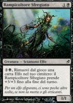 Rampicoltore Sfregiato   Lorwyn 138-Wizard of the Coast- nuvolosofumetti.