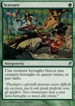 Scovare   Lorwyn 218-Wizard of the Coast- nuvolosofumetti.