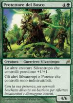 Protettore del Bosco   Lorwyn 238-Wizard of the Coast- nuvolosofumetti.