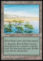 Pianura Alluvionale  MIRAGE 2347-Wizard of the Coast- nuvolosofumetti.