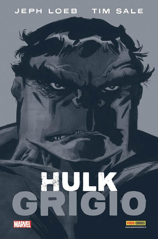 HULK GRIGIO-PANINI COMICS- nuvolosofumetti.