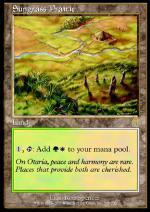 Prateria di Solerba  ODISSEA 1328-Wizard of the Coast- nuvolosofumetti.
