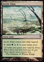 Distese Artiche  Ondata Glaciale 143-Wizard of the Coast- nuvolosofumetti.