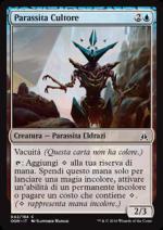 Parassita Cultore  Giuramento dei guardiani 5042-Wizard of the Coast- nuvolosofumetti.