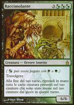 Raccimolante  RAVNICA 247-Wizard of the Coast- nuvolosofumetti.