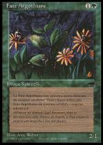 Fate Argothiane  RINASCIMENTO 5024-Wizard of the Coast- nuvolosofumetti.