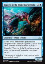 Esperto della Branchiargentata  Rivali di Ixalan 5053-Wizard of the coast- nuvolosofumetti.