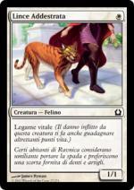 LINCE ADDESTRATA  Ritorno a Ravnica 27-Wizard of the Coast- nuvolosofumetti.
