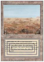 Steppa  REVISED 4300-Wizard of the Coast- nuvolosofumetti.