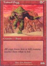 Orgg Addestrato  STARTER SET 2000 33-Wizard of the Coast- nuvolosofumetti.
