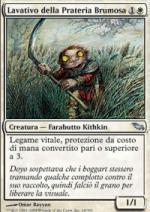 Lavativo della Prateria Brumora  Landa Tenebrosa 14-Wizard of the Coast- nuvolosofumetti.