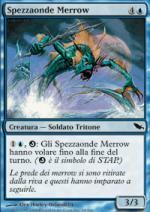 spezzaonde merrow  Landa Tenebrosa 44-Wizard of the Coast- nuvolosofumetti.