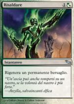 risaldare  Landa Tenebrosa 236-Wizard of the Coast- nuvolosofumetti.