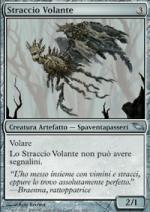 straccio volante  Landa Tenebrosa 264-Wizard of the Coast- nuvolosofumetti.