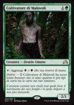 Coltivatore di Malovoli  Ombre su Innistrad 7202-Wizard of the Coast- nuvolosofumetti.