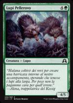 Lupi Pellerovo  Ombre su Innistrad 7232-Wizard of the Coast- nuvolosofumetti.