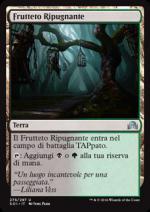 Frutteto Ripugnante  Ombre su Innistrad 7275-Wizard of the Coast- nuvolosofumetti.