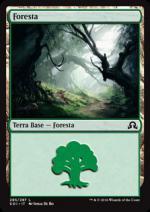 Foresta  Ombre su Innistrad 7295-Wizard of the Coast- nuvolosofumetti.