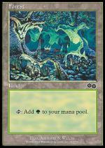 Foresta (A)  SAGA DI URZA 6347-Wizard of the Coast- nuvolosofumetti.