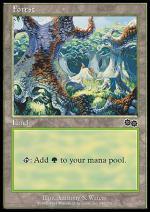 Foresta (B)  SAGA DI URZA 6349-Wizard of the Coast- nuvolosofumetti.