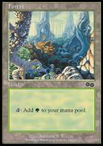 Foresta (C)  SAGA DI URZA 6350-Wizard of the Coast- nuvolosofumetti.