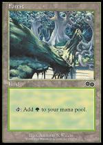 Foresta (D)  SAGA DI URZA 6348-Wizard of the Coast- nuvolosofumetti.