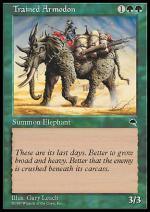 Armodonte Addestrato  TEMPESTA 9215-Wizard of the Coast- nuvolosofumetti.