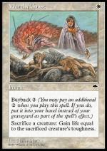 Degna Causa  TEMPESTA 9016-Wizard of the Coast- nuvolosofumetti.