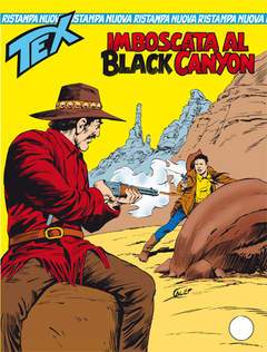 TEX nuova ristampa 318-SERGIO BONELLI EDITORE- nuvolosofumetti.