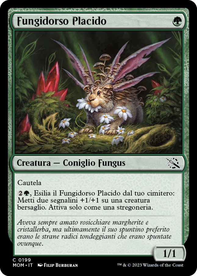FUNGIDORSO PLACIDO  Avanzata delle macchine 199