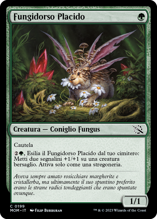 FUNGIDORSO PLACIDO  Avanzata delle macchine 199