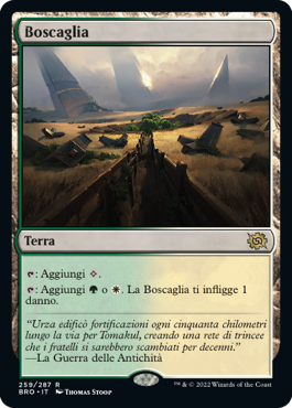La Guerra dei Fratelli 259 Boscaglia