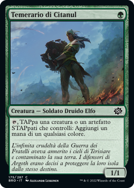 La Guerra dei Fratelli 175