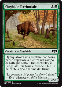 Cinghiale Territoriale  Fedeltà di Ravnica 145-Wizard of the Coast- nuvolosofumetti.