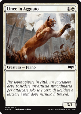 Lince in Agguato  Fedeltà di Ravnica 17-Wizard of the Coast- nuvolosofumetti.