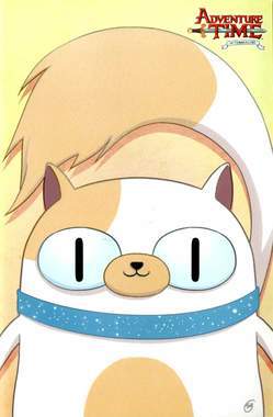 ADVENTURE TIME con Fionna & Cake 1-Panini Comics- nuvolosofumetti.