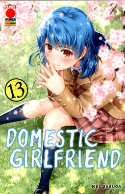 Domestic girlfriend 13