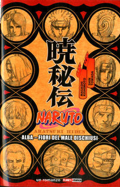 NARUTO Romanzo