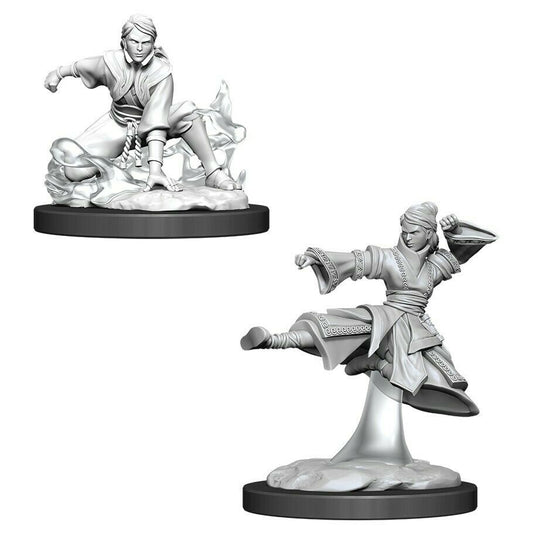 D&D  Nolzur’s Marvelous Miniatures: human monk, WIZKIDS/NECA, nuvolosofumetti,
