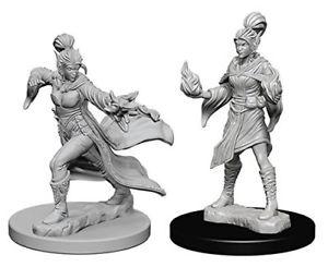 Pathfinder deep cuts  - Elf female sorcerer-WIZKIDS/NECA- nuvolosofumetti.