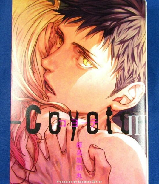 COYOTE 3 3, FLASHBOOK EDIZIONI, nuvolosofumetti,