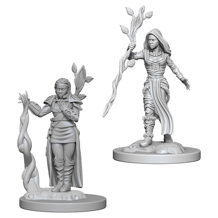 D&D  Nolzur’s Marvelous Miniatures: Human Druid (Female)