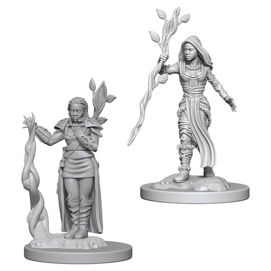D&D  Nolzur’s Marvelous Miniatures: Human Druid (Female)