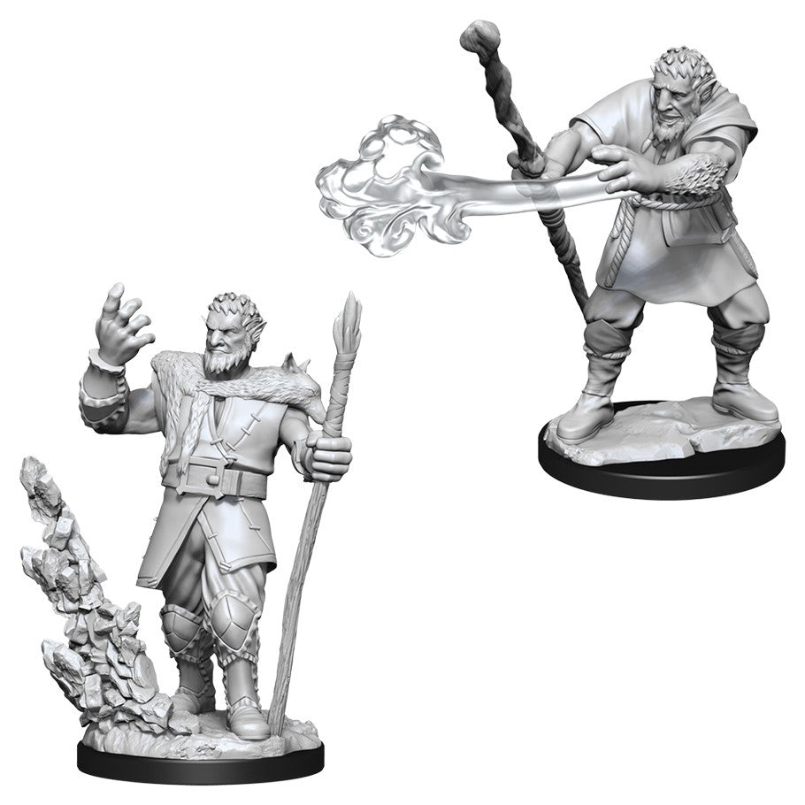 D&D  Nolzur’s Marvelous Miniatures: Firbolg Druid